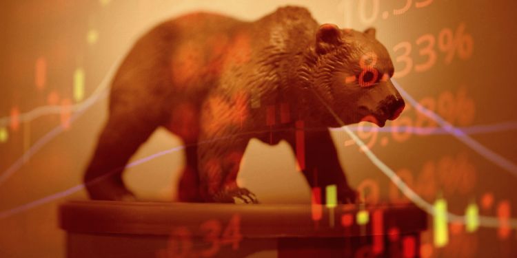 saison du bear market crypto